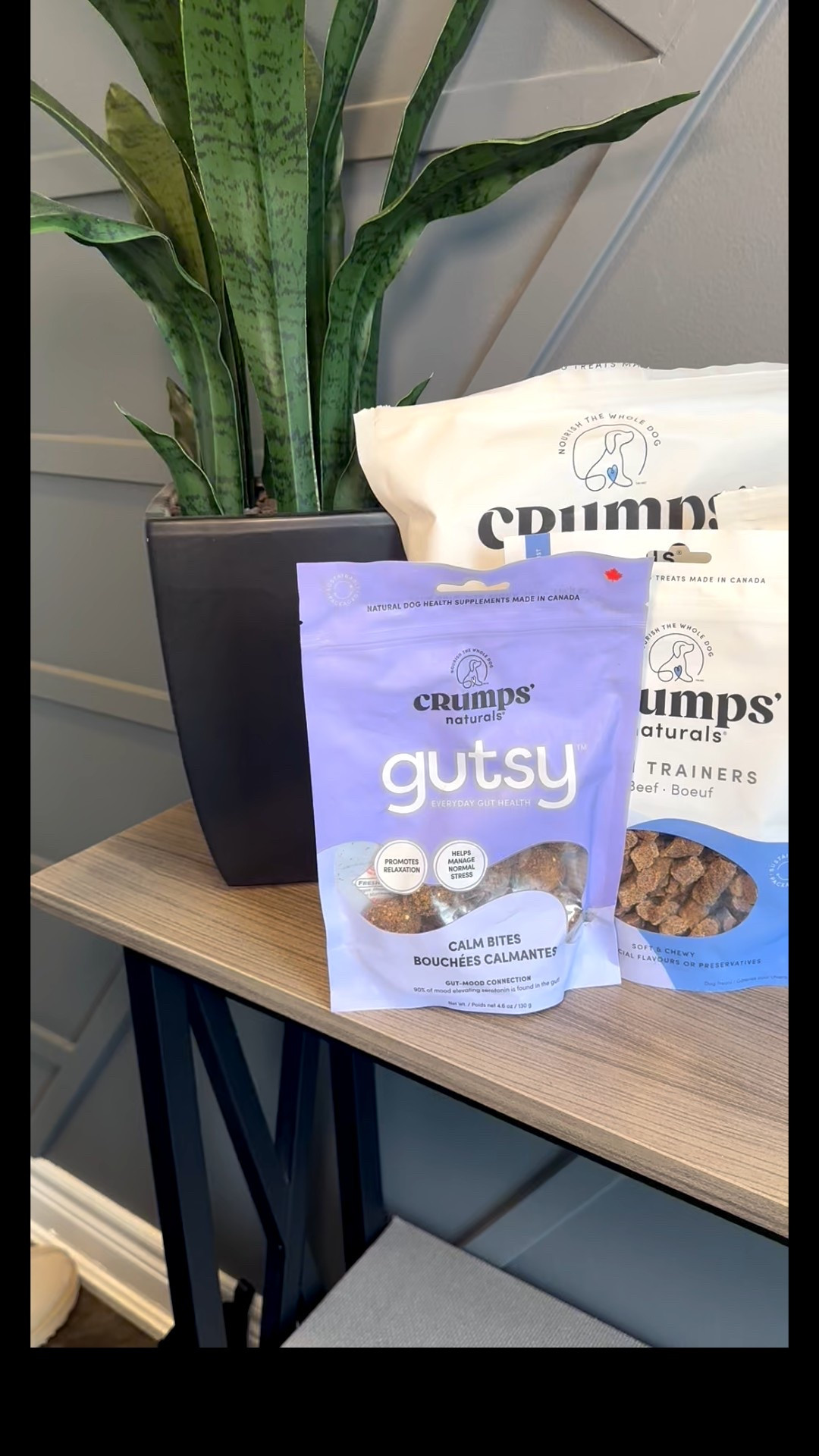 Loving all theses treats form Crumps! Shop all our favs below and use code STELLA10 on Chewy 😍

#LTKfoodie #LTKGiftGuide #LTKFindsUnder50