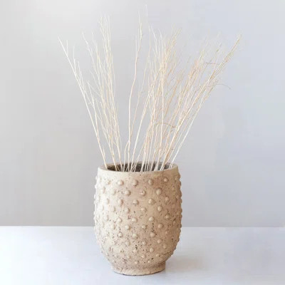 Cayson Pot Planter | Wayfair North America