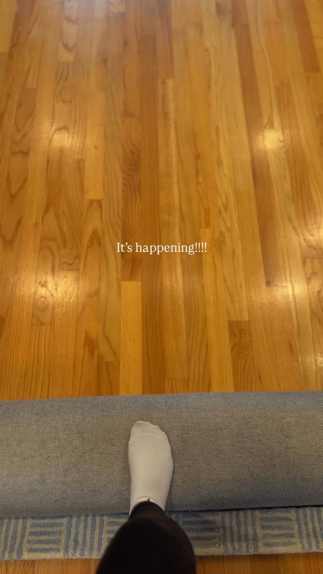 The prettiest area rug ever!@wayfaircreators @wayfair #wayfaircreator

#LTKHome