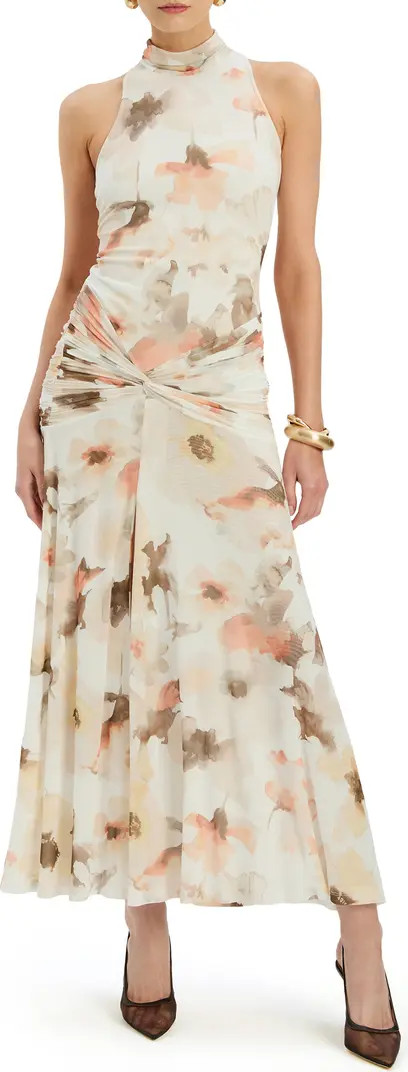 Leanna Floral Mesh Maxi Dress | Nordstrom