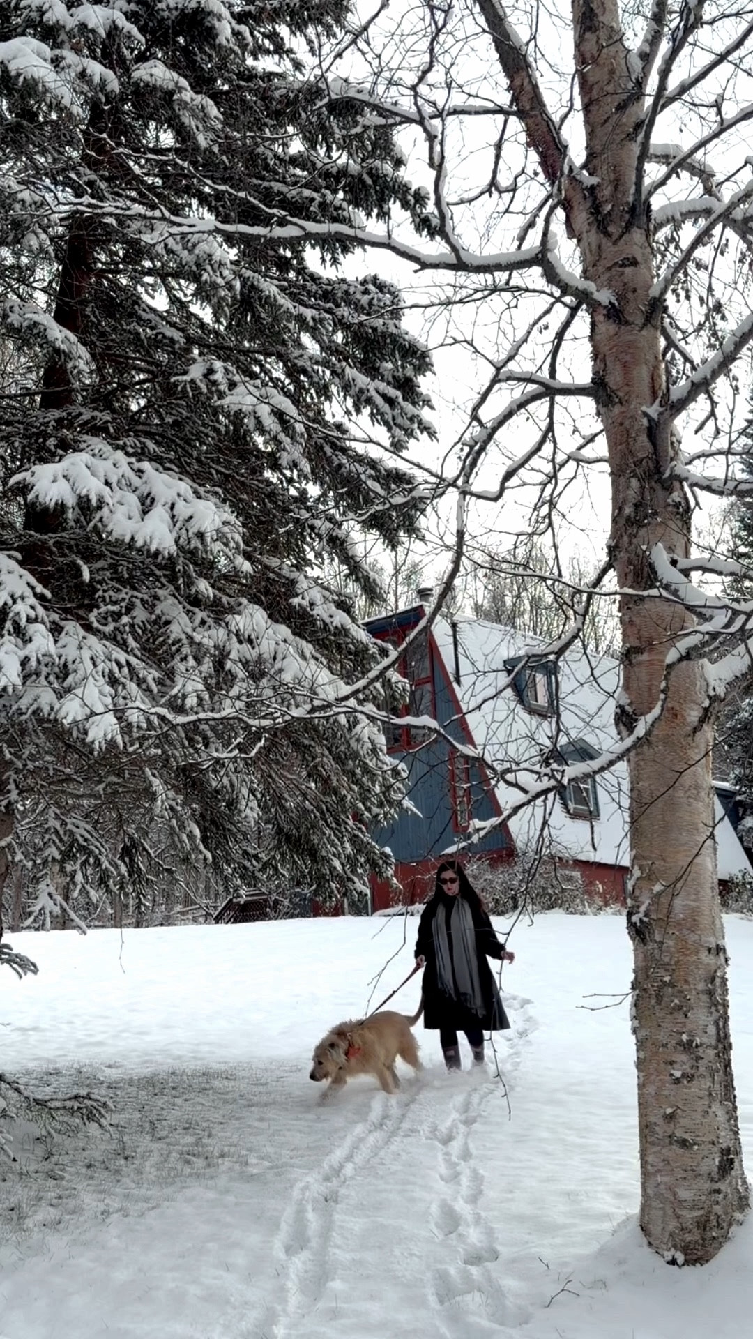 My house in the winter with snow on the ground is one of the dreamiest scenes! 

#LTKSeasonal #LTKTall #LTKHoliday
