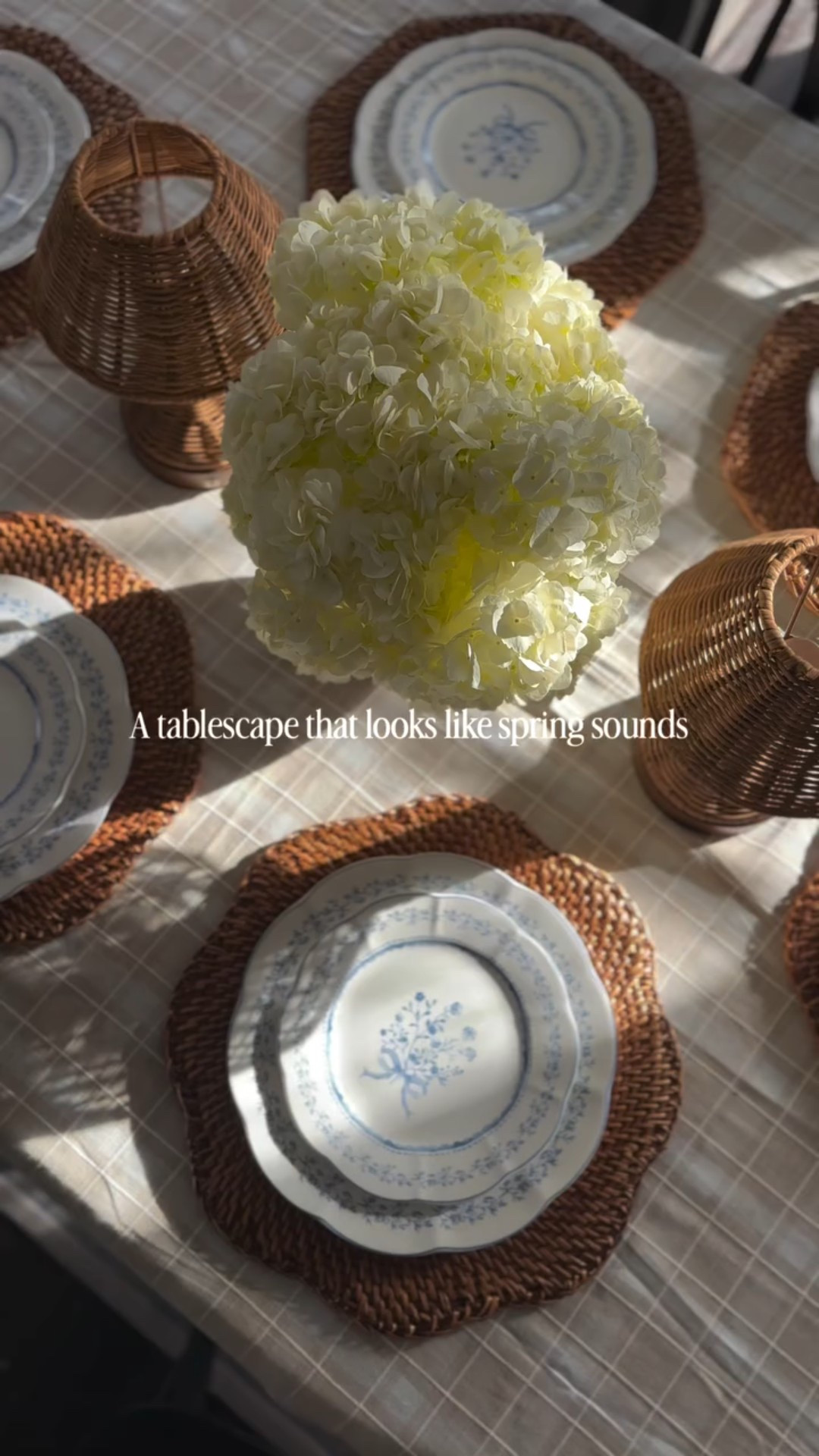 Who else is craving springtime?! 🌷these @tjmaxx plates scream Nancy Meyers spring, and oh man am I ready for it to be here ☀️

Comment “spring” below for links so you can recreate this at your own table ✨

💙Plates @tjmaxx 
💙Tablecloth, chargers, lamps & vase @target 
💙Flowers @traderjoes 

Follow along @thegatheringgal for more tablescape & hosting inspo 🍽️

love you, mean it 🫶🏼

#hosting #nancymeyers #tablescape #tjmaxx #dinnerparty