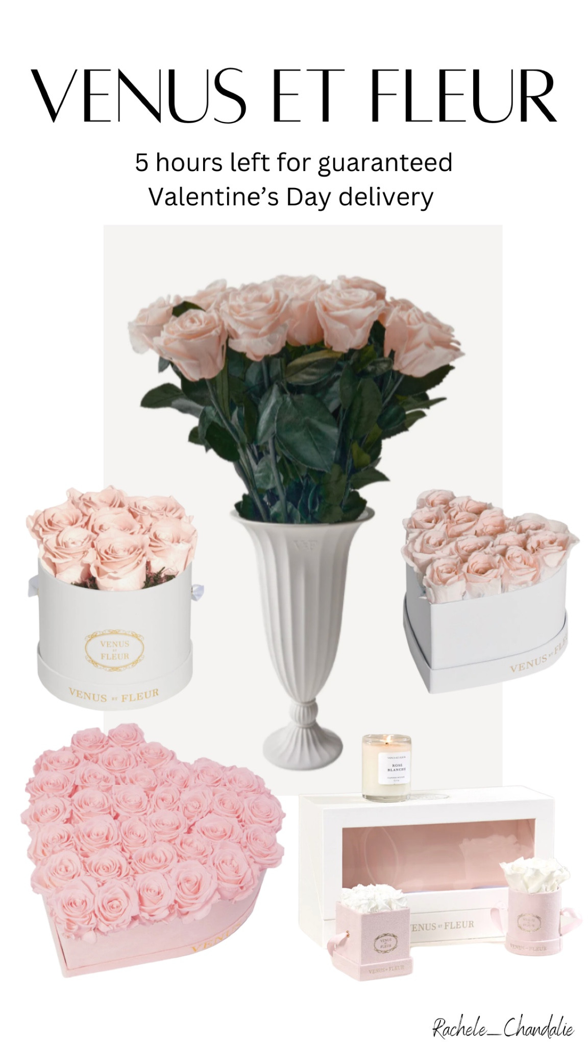 Venus ET Fleur, Timeless Roses, Roses that last

#LTKGiftGuide #LTKFind