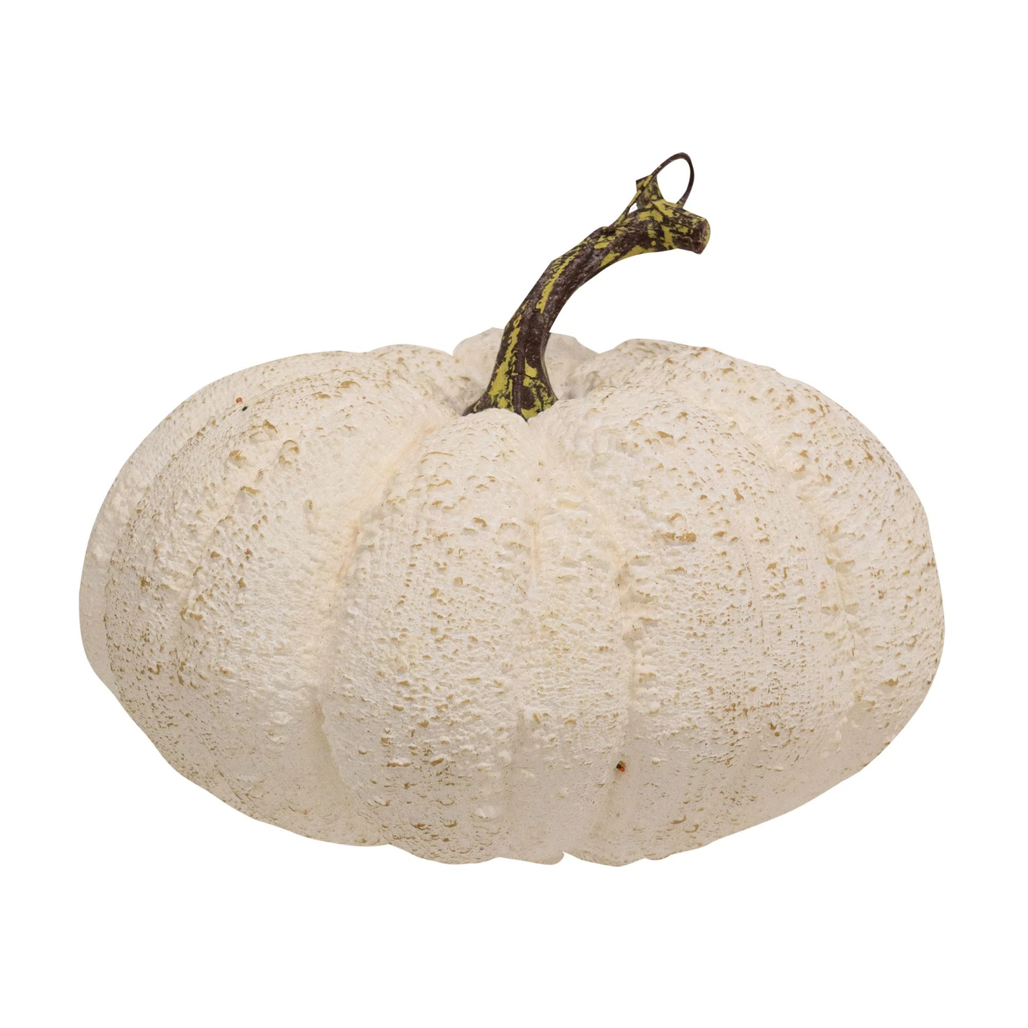 Full Moon Pumpkin | Wayfair North America