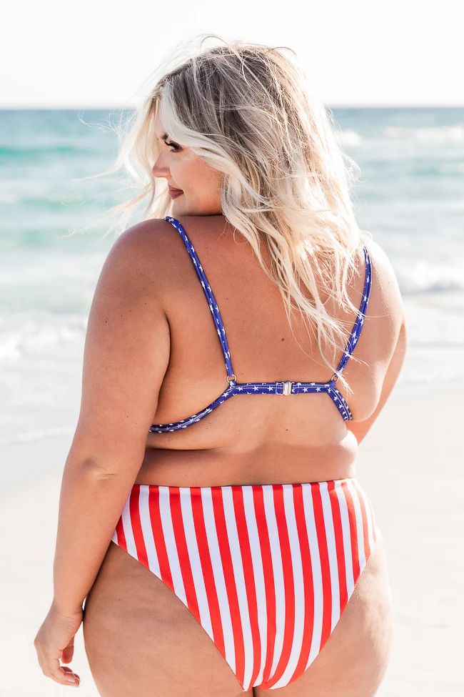 Bayshore Drive Stars/Stripes Bikini Top | Pink Lily