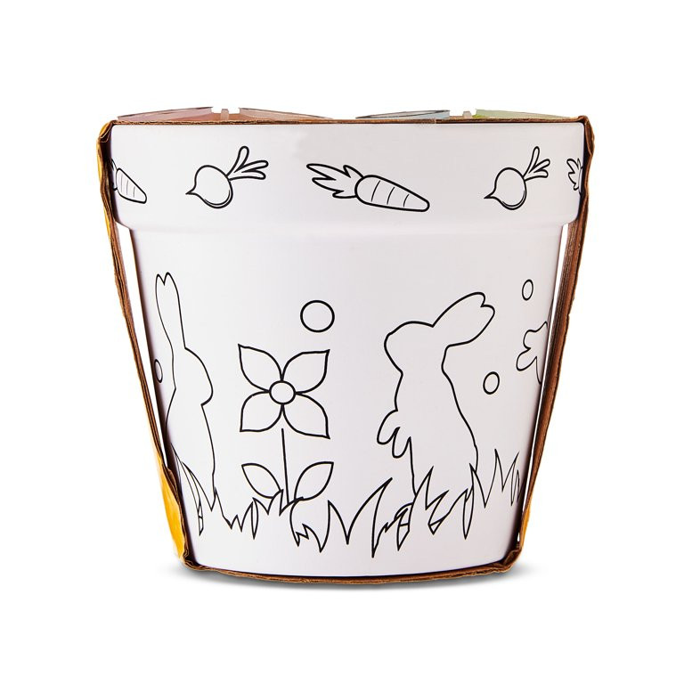 Easter Paint Your Own Pot Party Favor, Bunny & Butterflies, by Way To Celebrate - Walmart.com | Walmart (US)