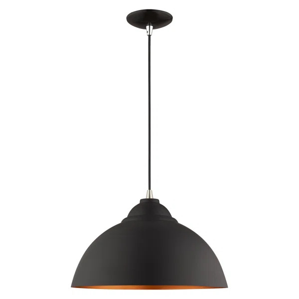 Alysen 1 - Light Pendant | Wayfair North America