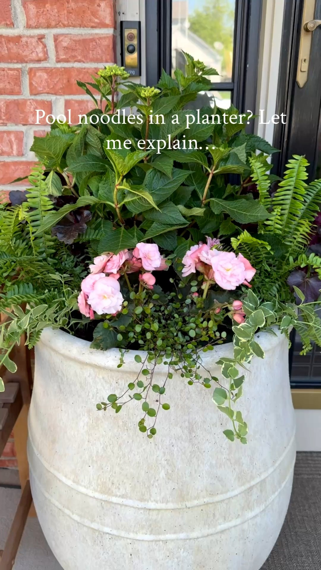 I’ve linked my planters and some similar options. 

Please note, my planters are quite large so this is what I did on mine. In other planters, I’ve used empty water bottles with the lid on it so the bottle doesn’t get crushed once the dirt is over it. It will take more space that way. Others have used the empty containers the plants came in. 
 
🪴Here’s the list of shade friendly plants I used…

🤍Endless Summer Cloud hydrangea- this will bloom
white flowers
🩷Coral Bells Heuchera Indian Summer Bilberry
💚Kimberly Queen fern
💚Vinca vine Vinca major- this will trail over the planter
🩷Begonia Hiemalis Move 2 Joy Pink
💚Wire vine Muehlenbeckia- this will trail over the
planter

#LTKSeasonal #LTKHome