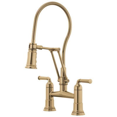 RookÂ® Articulating Bridge Faucet with Finished Hose | Wayfair North America