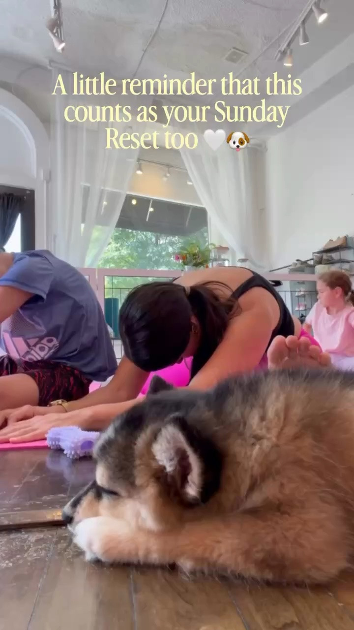 “I’m not a Sunday Reset girl. I’m more of a nap-after-church girl.”

WHO SAID YOU CAN’T BE BOTH?! 😂

Some Sundays I meal prep, map out our week + get my life together.

Some Sundays I need to look at the calendar and TAKE 👏THINGS 👏 OFF

And sometimes my reset looks like puppy yoga with my boy because what I actually need is to laugh, connect + have FUN. 🐶😂

That’s the whole point.
Your Sunday Reset should flex with your life—not fight against it.
What does my mind, body + spirit need THIS week?
What season am I in?
What needs to be added and what needs to GO?

Sometimes the most productive thing you can put on your calendar is LESS.
And yes…sometimes it’s puppies. 🐶🤍

#SundayReset #HealthyByHeatherBrown Mind Body Spirit Health | Biblical Health | Millennial Mom