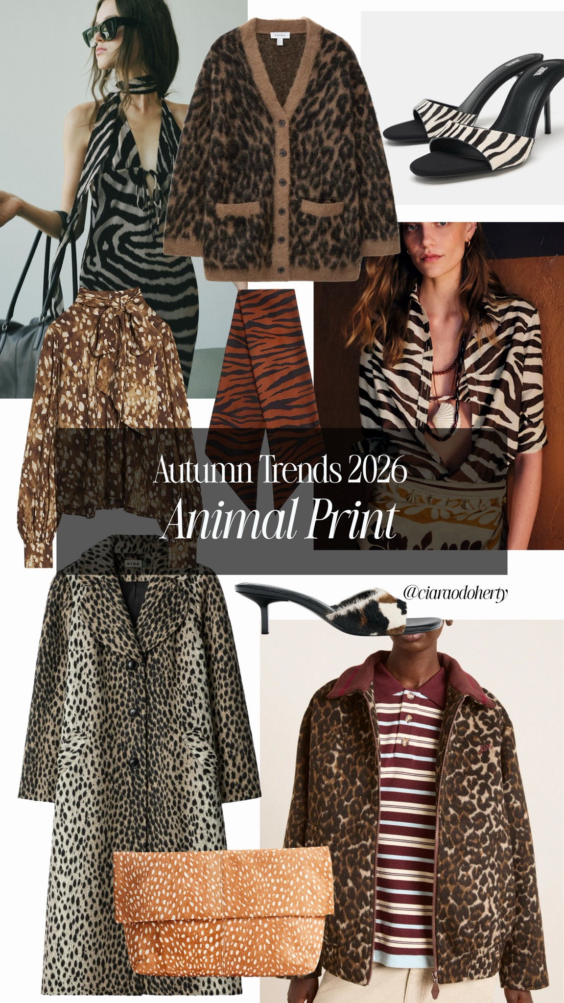 Autumn Trends 2026: Animal Print. Think dresses, statement blouses and knitwear, fun shoes and bags

#LTKFashionMonth #LTKautumn #LTKsummer