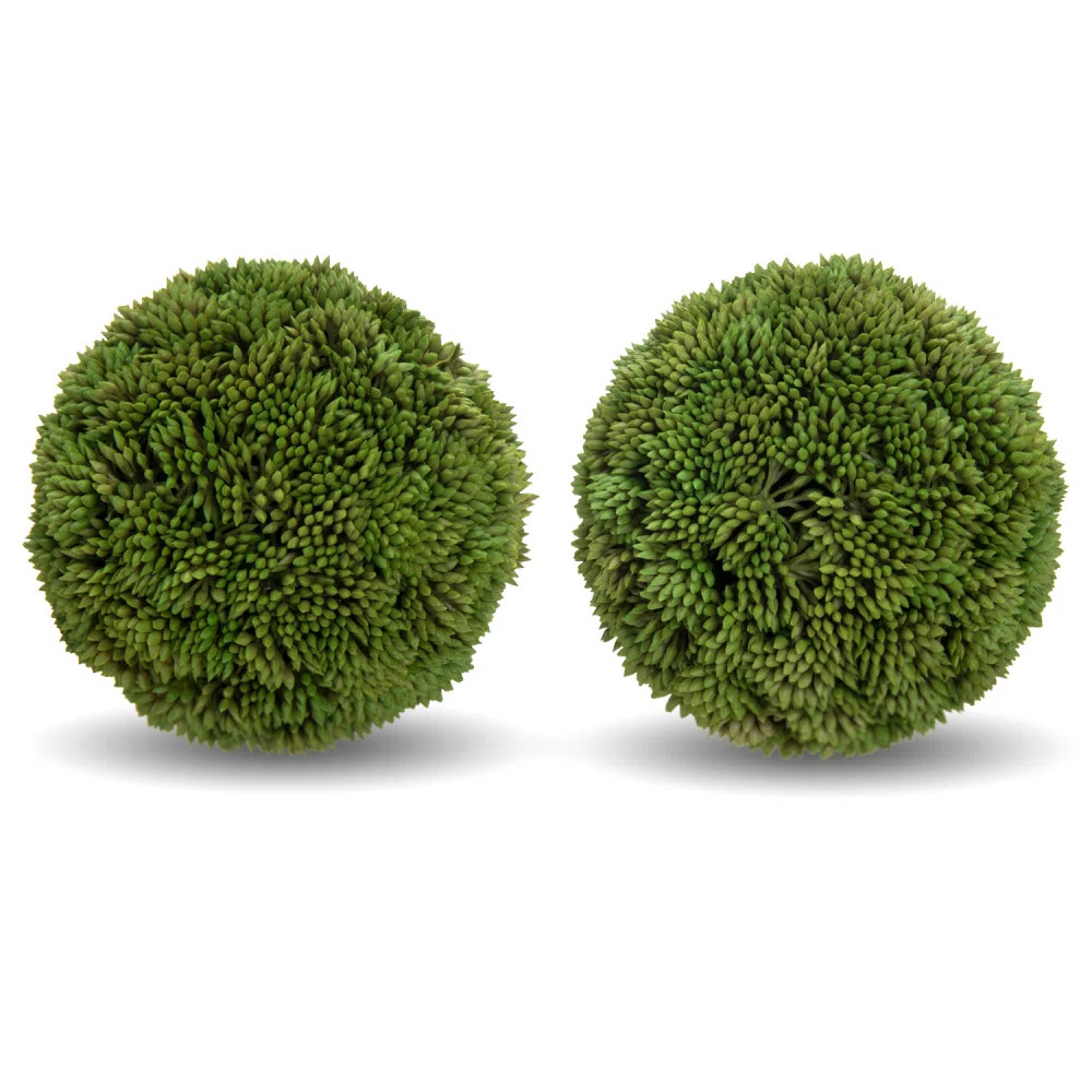 $23.99 | Wayfair North America