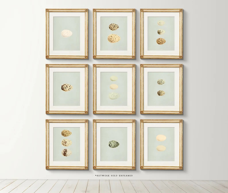 Vintage 19th C Woodblock Eggs - Set of 9 Farmhouse Art Prints - Etsy | Etsy (US)