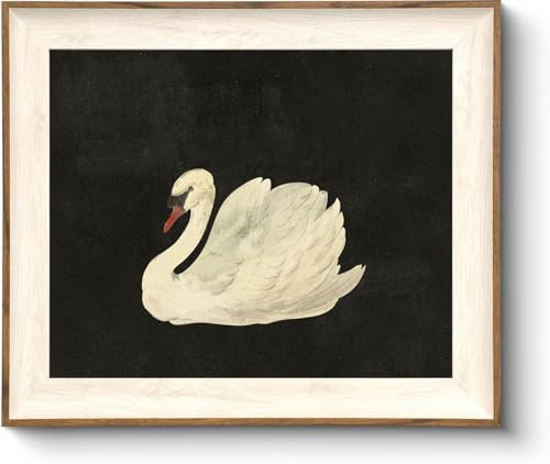 ASTRDECOR Vintage Framed Wall Art for Living Room, Vintage Swan Canvas Oil Painting for Bathroom Wall Decor, Classical Animal Framed Art for Vintage Home Decor Aesthetic, Zwaan Black and White Wall Art Prints for Bedroom Decor-10''x12'' | Amazon (US)