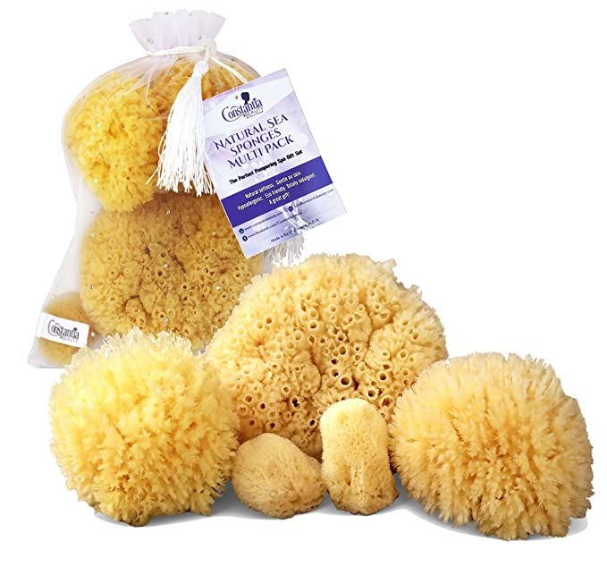 Real Natural Sea Sponges Multipack - 5pc Spa Gift Set in Premium Bag, Kind on Skin, for Bath Show... | Amazon (US)