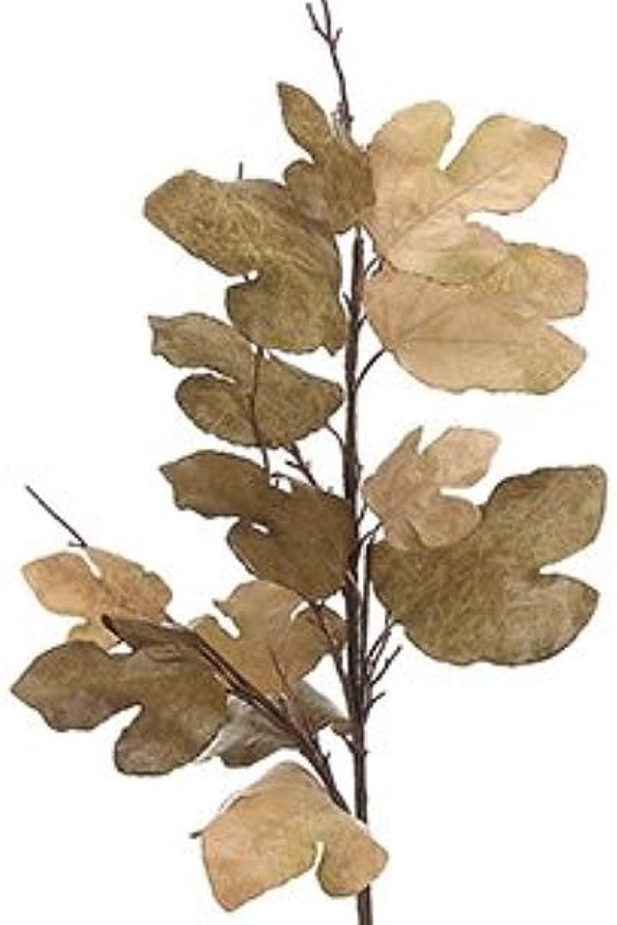 Arcadia Silk Plantation 47" Fig … curated on LTK