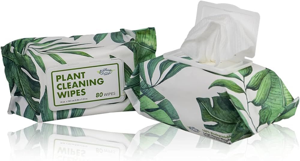 Amazon.com: Plant Cleaning Wipes by Southside Plants - Gentle, Plant-Based Wipes for Shiny Leaves... | Amazon (US)