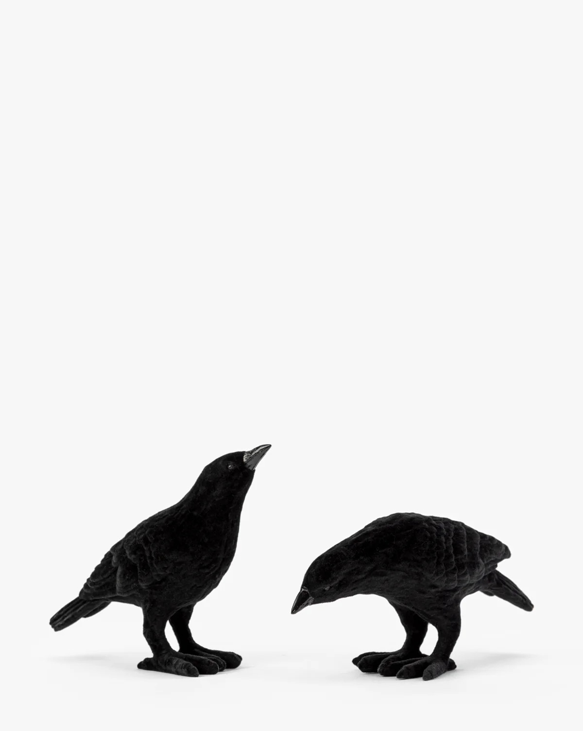 Flocked Resin Crow Statues (Set of 2) | McGee & Co. (US)