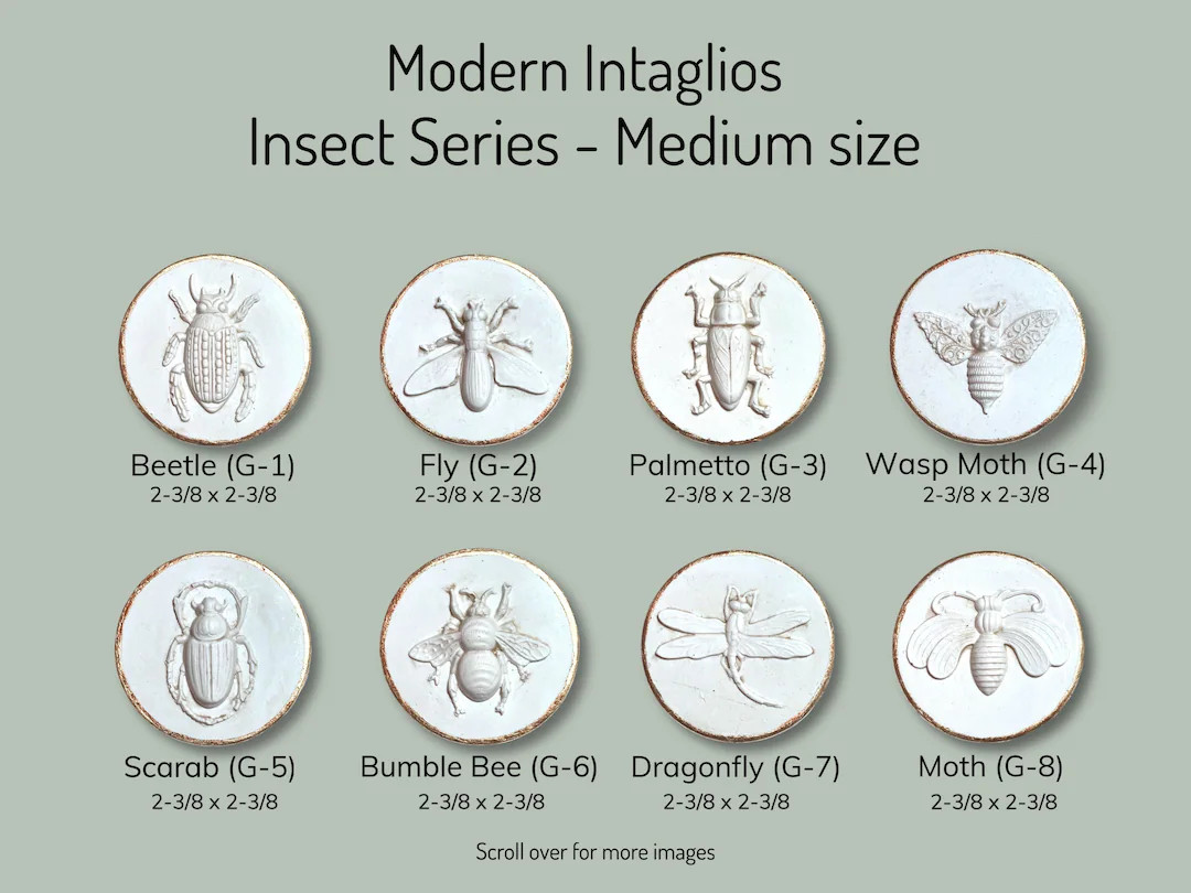 Handcrafted Insect Intaglios: DIY Art Project - Etsy | Etsy (US)