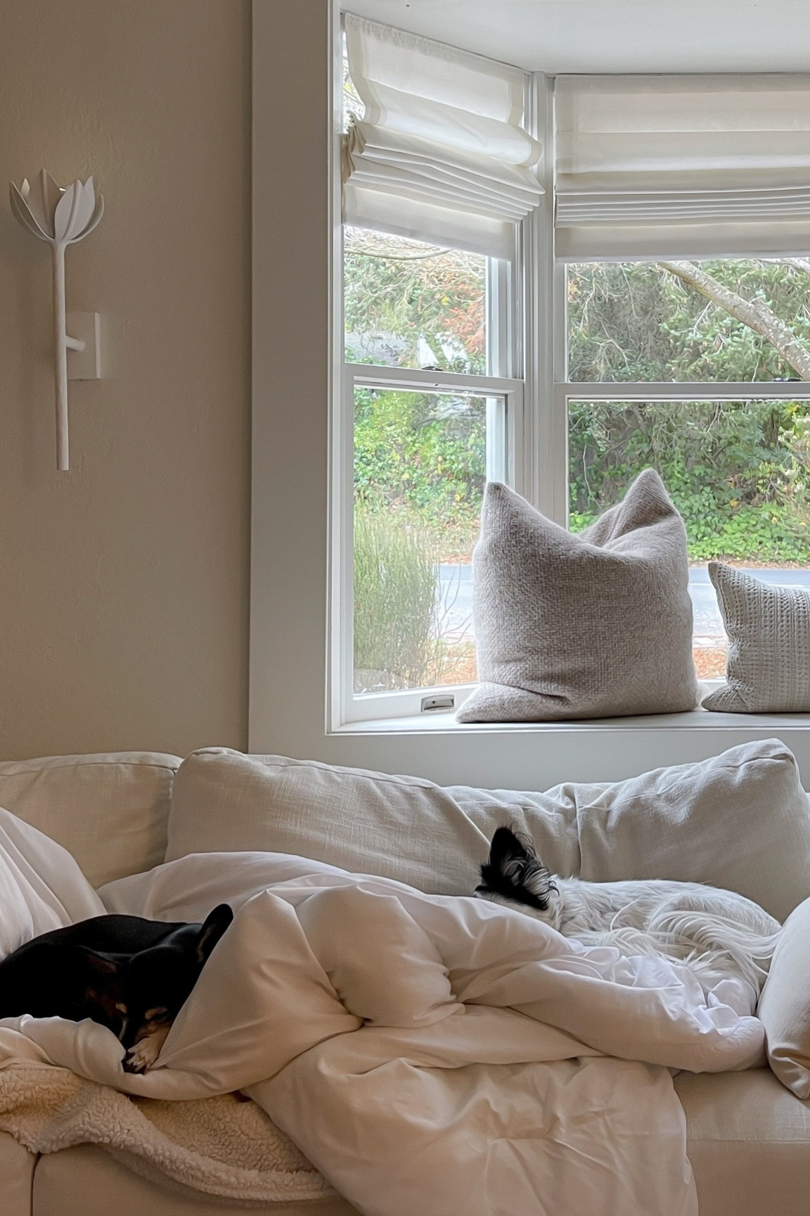 Couch snuggles and the softest Jenni Kayne pillow ☁️ 15% off with TYLER15 

#LTKstyletip #LTKSeasonal #LTKhome