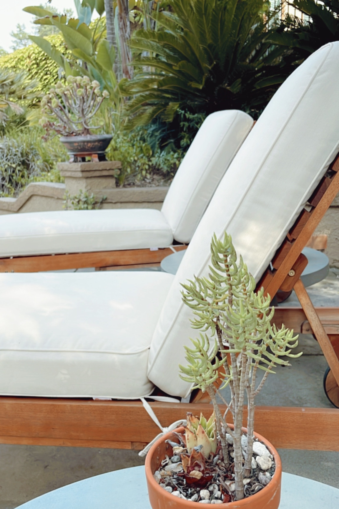 Loving our comfy new chaise lounge cushions! 👏🏻

#ltkhome #ballarddesigns #outdoorfurniture 