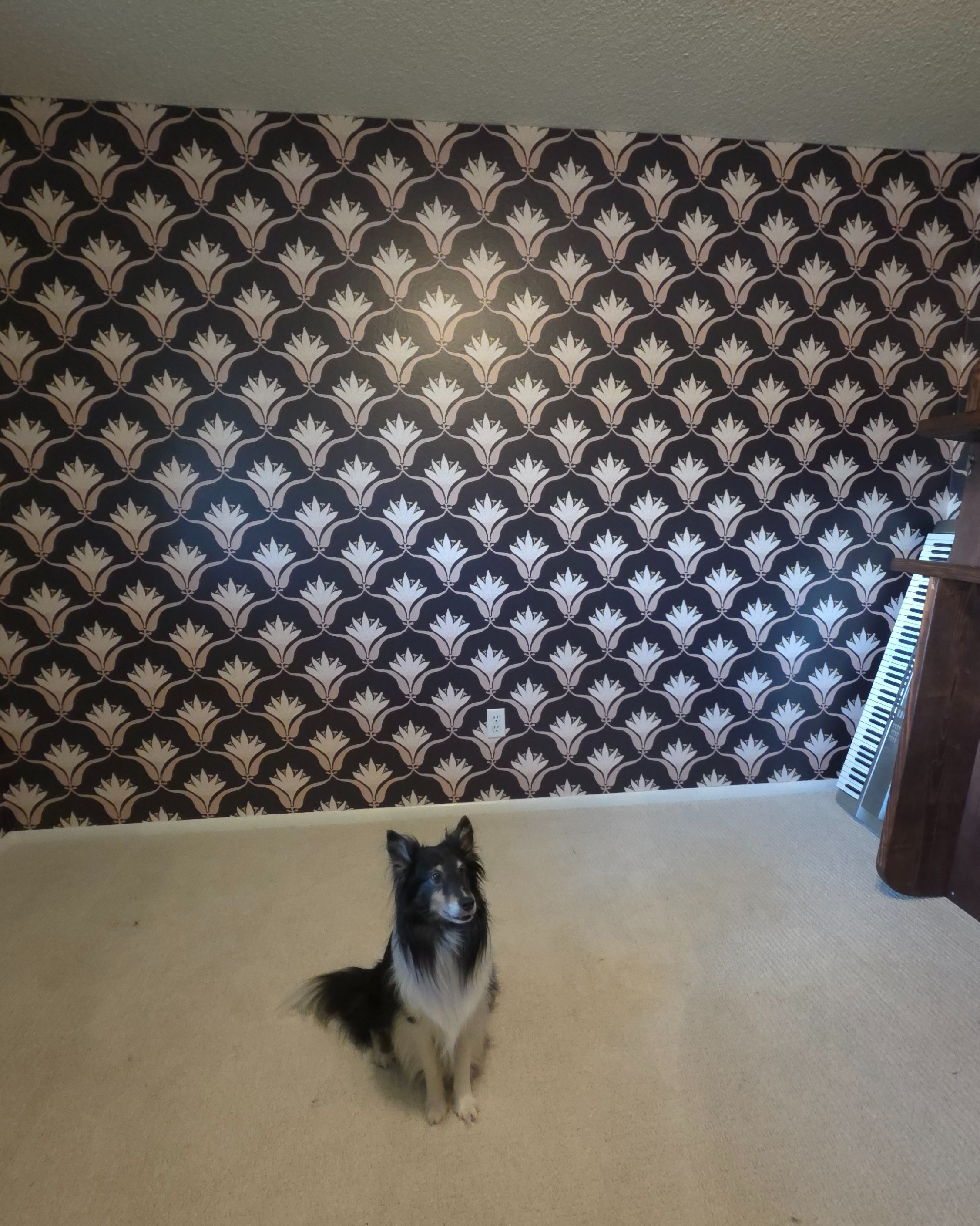 finally finished one wall of wallpaper!

#LTKStyleTip #LTKHome #LTKPets