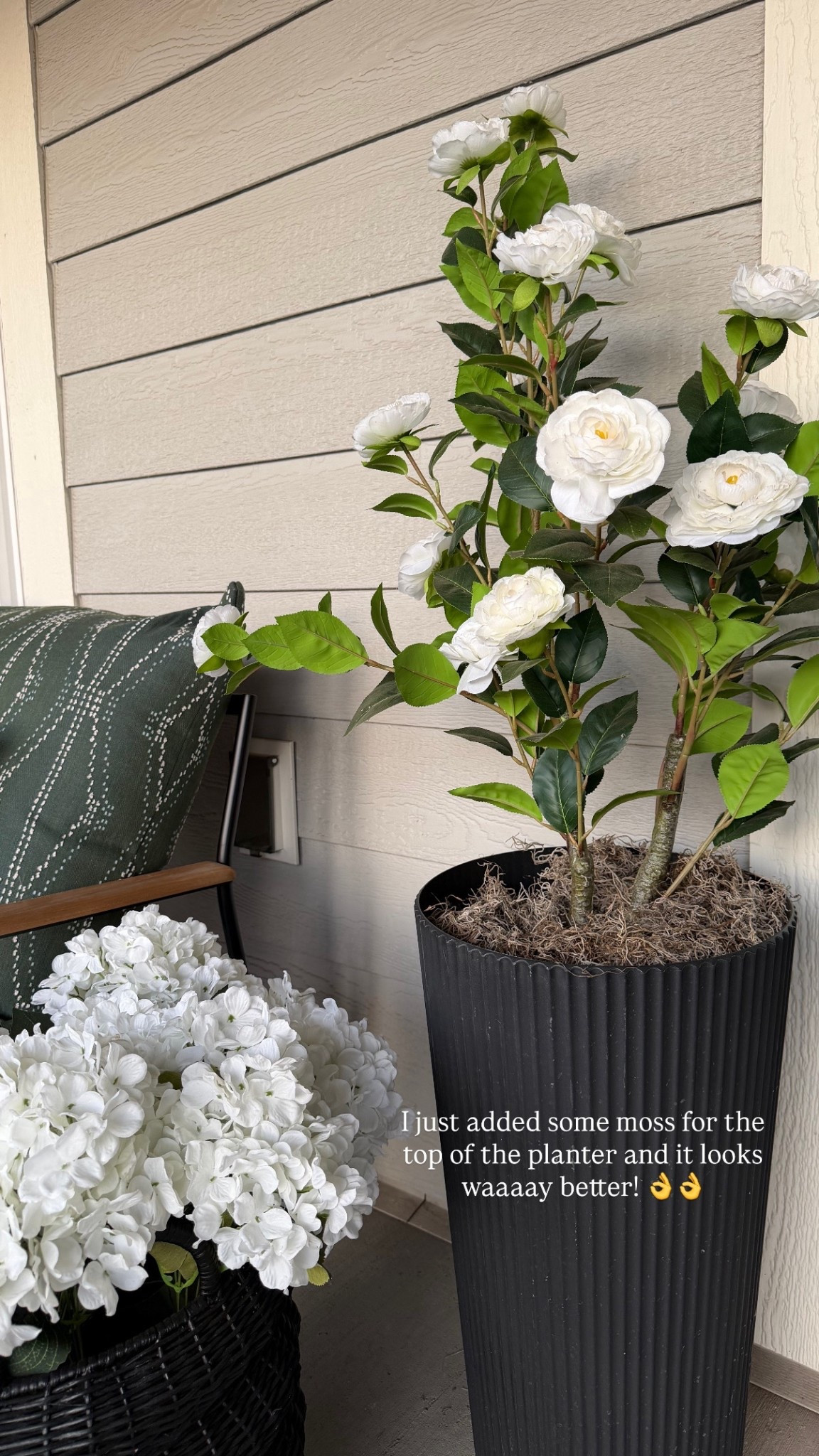 Zero maintenance porch flowers that look amazing!! 

#LTKSeasonal #LTKHome