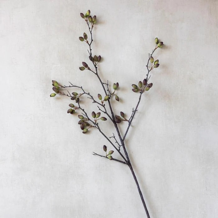 Barberry Long Stem | Purple Rose & Co