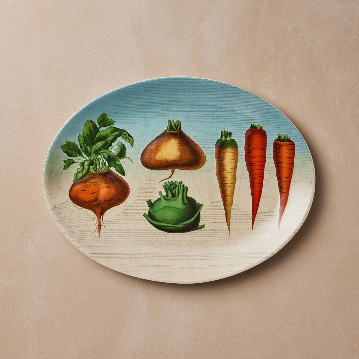 9"x12" Oval Stoneware Platter Fall Root Vegetables - John Derian for Target | Target