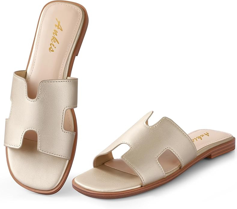 Ankis Black Brown White Biege Gold Women's Flat Sandals Comfortable Women's Slide Sandals Fashion... | Amazon (US)