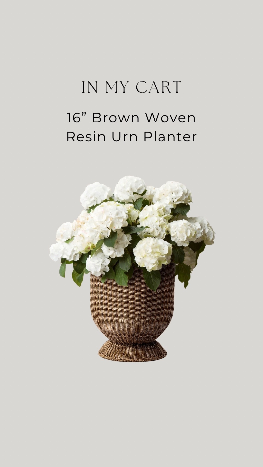 Love these!! They’re low in stock so grab it while you can. I’m going to use it for mums 🤎🍂

#LTKHome