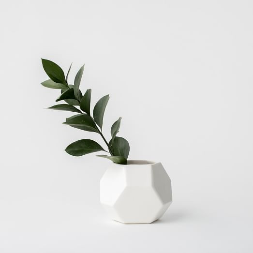Convivial Acacia Vase | West Elm (US)