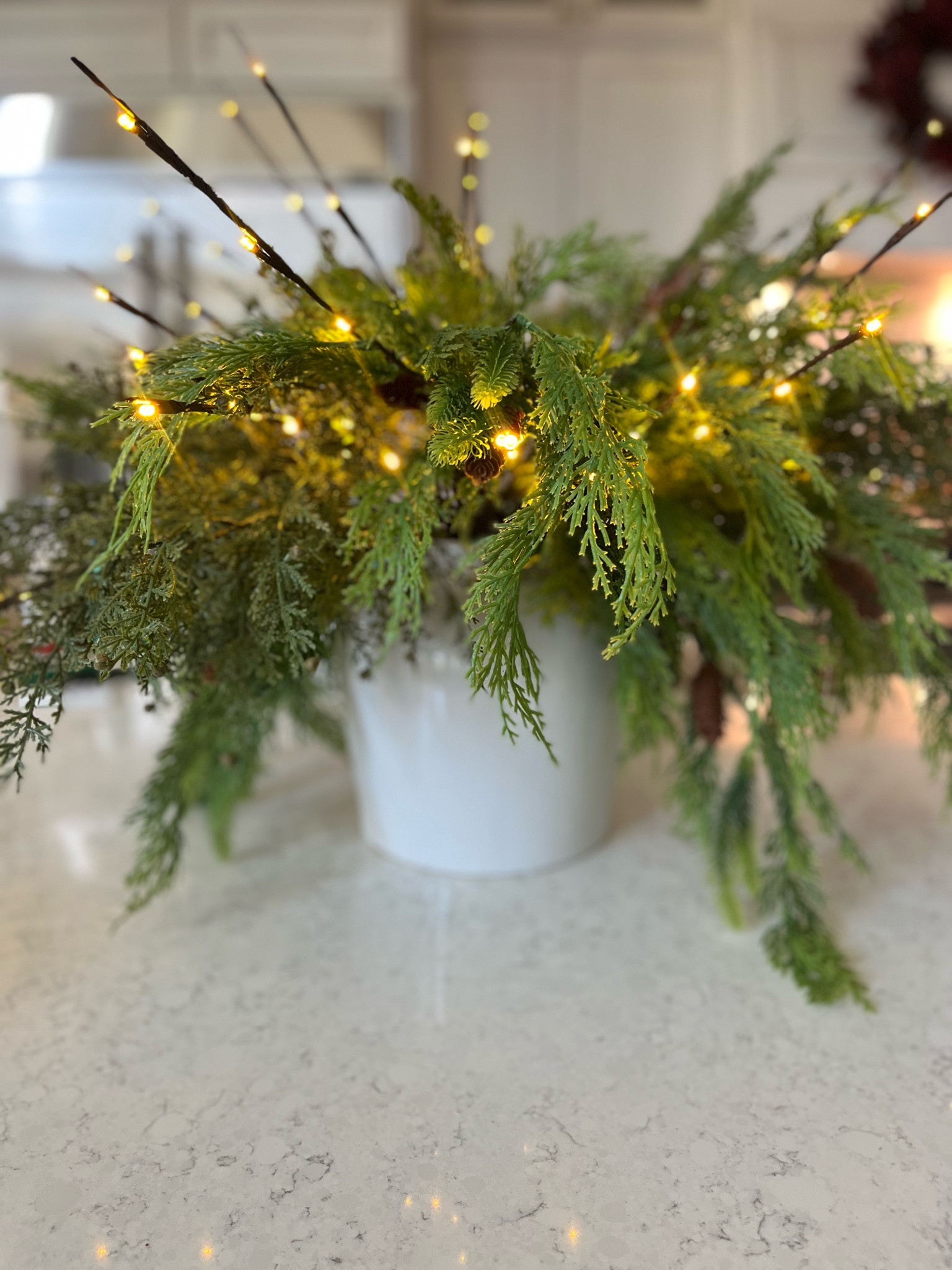 Added the pre-lit birch branches to my vase with Norfolk stems! Four stems under $9! 😍🌲

#LTKSeasonal #LTKFindsUnder50 #LTKHoliday