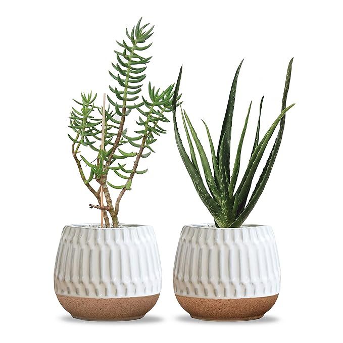 Carlton Lane Valencia - Ceramic Indoor Flower Pots for Plants – Indoor Garden Planters with Dra... | Amazon (US)