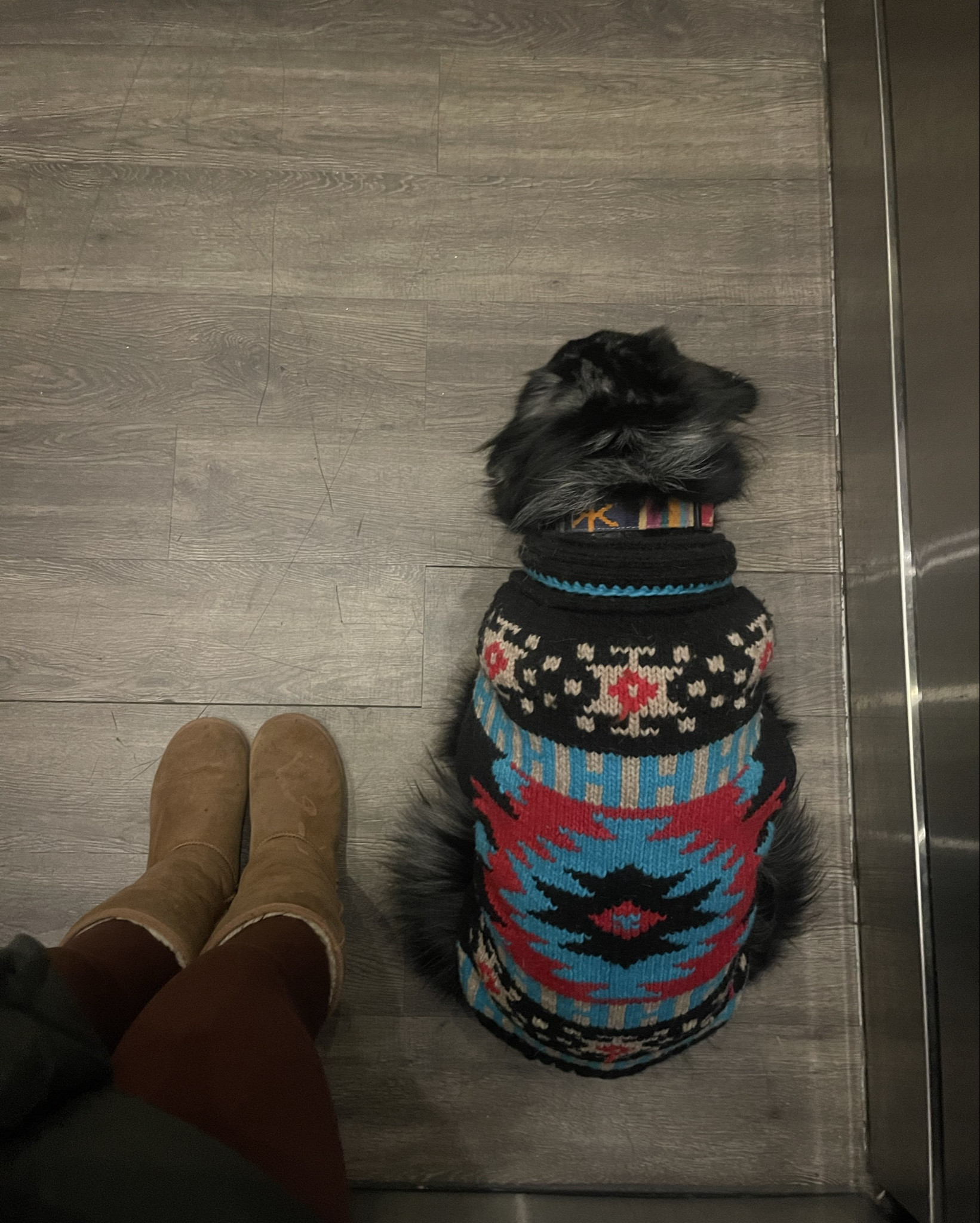 Briley loves her Southwestern sweater 

She’s a 45 lbs Aussie & wears a size XL


#LTKSeasonal #LTKFindsUnder50 #LTKFindsUnder100
