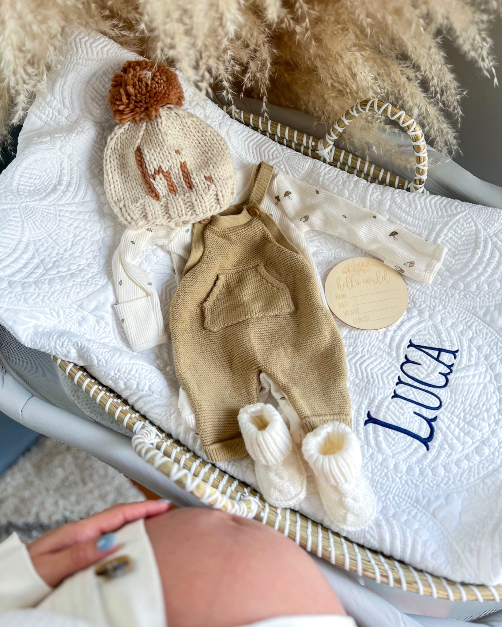 Baby/newborn/nursery/infant/bassinet/pregnant/maternity

#LTKbump #LTKbaby #LTKhome