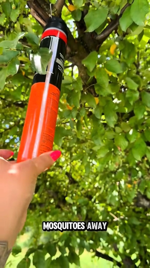 When the AC is busted and the summer heat hits this momma says “nope” to cooking, and we pivot. Jalapeño cheddar Salisbury steak? Yeah, not happening. @Jets Pizza and an ice-cold @Sprite by the pool is the only logical choice. Pool party + pizza night = survival mode summer style.

#LTKHome #LTKFindsUnder100 #LTKSeasonal