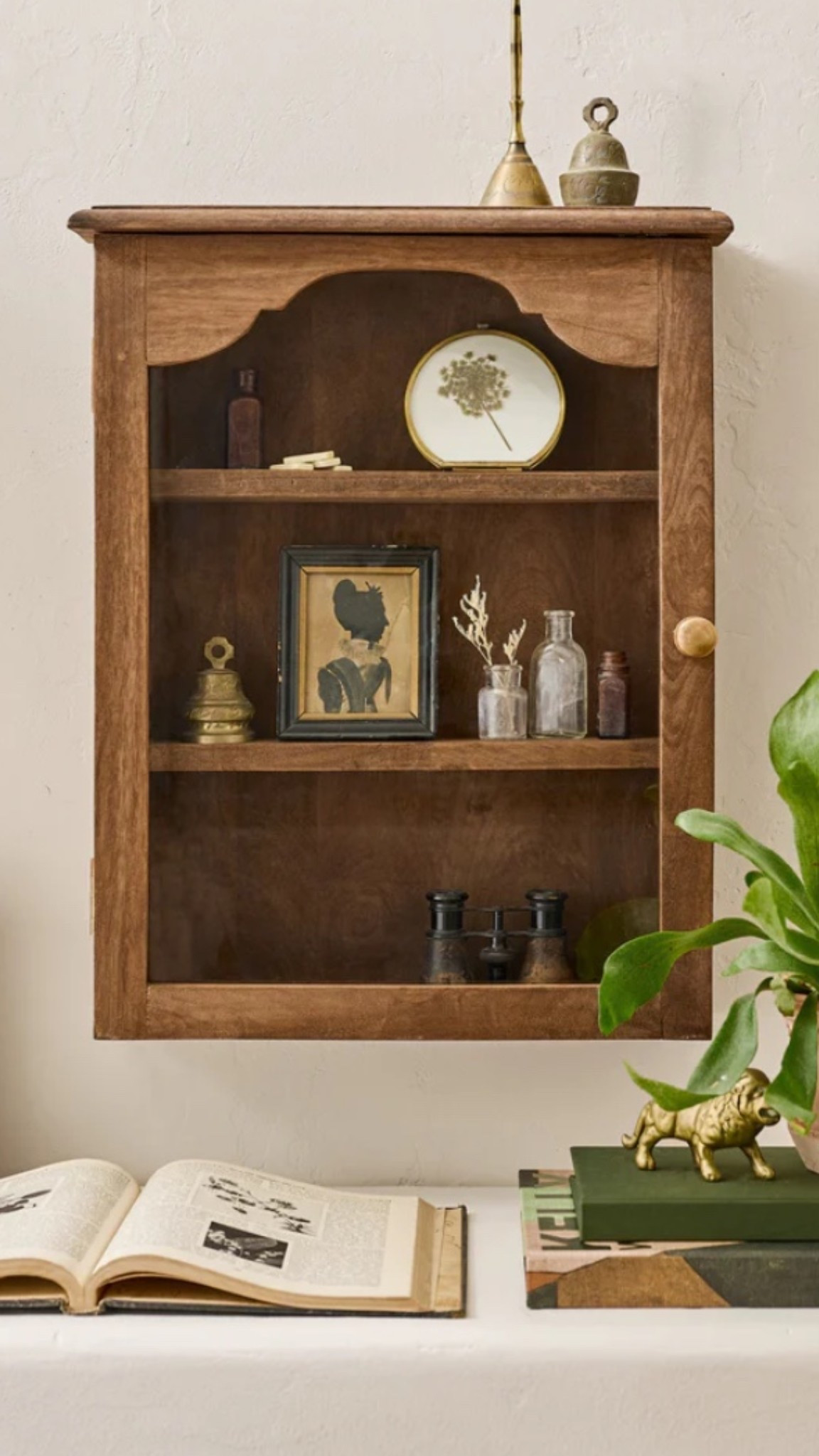 #perfumedisplay #perfume #walldecor #magnolia 

#LTKFindsUnder100 #LTKSaleAlert #LTKU