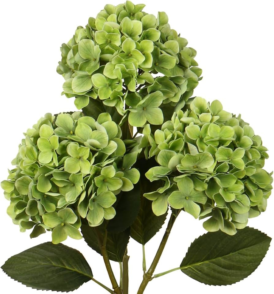 DILATATA Faux Hydrangea Large Artificial Green Hydrangea Flowers 26" Real Touch Hydrangea Flowers... | Amazon (US)