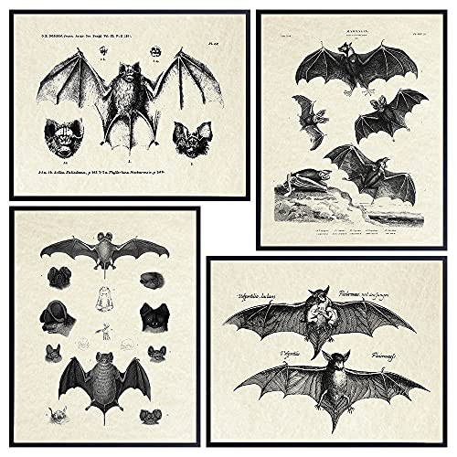 Bats Gothic Wall Art & Decor - LARGE 11X14 - Vintage Retro Hipster Goth Art, Home or Room Decorat... | Amazon (US)