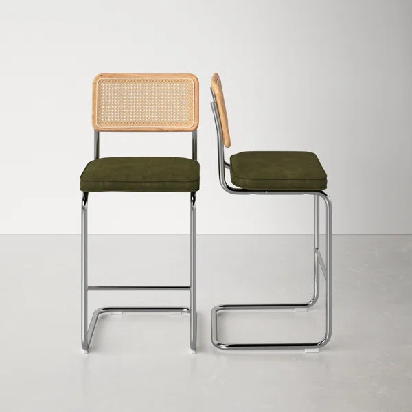 Walsh Velvet Bar & Counter Stool (Set of 2) | Wayfair North America