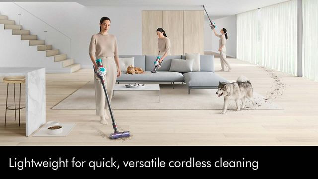 Dyson V8 Absolute (Silver/Nickel) | Dyson (US)