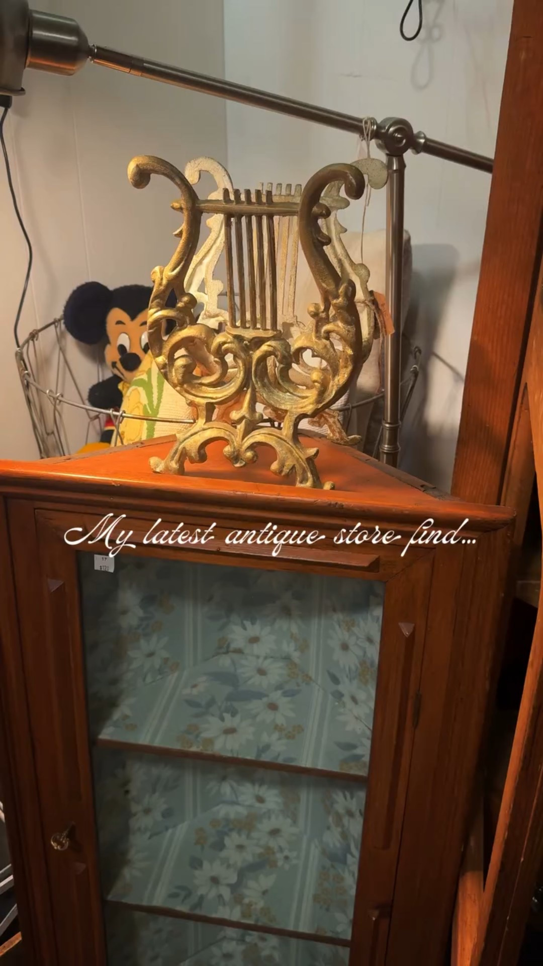 When you find the Mr. Darcy to your Elizabeth Bennett to hold your cherished Pride and Prejudice vinyl record. 🖤 🪉🎵🎻