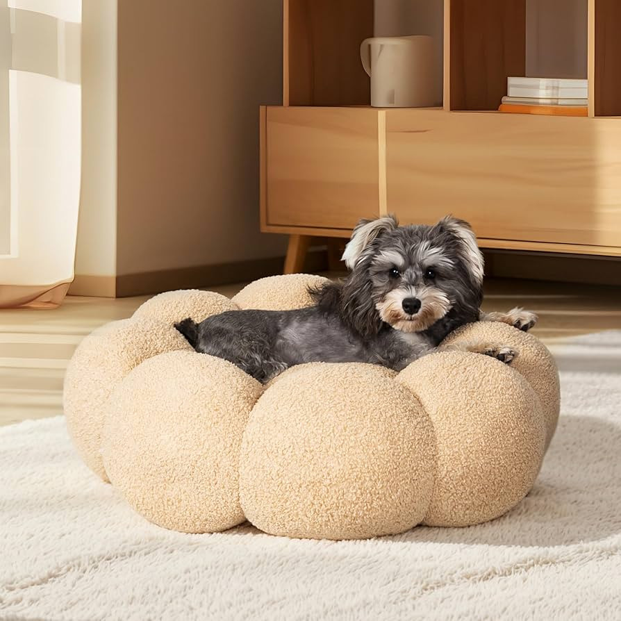 WESTERN HOME WH Calming Dog Beds for Small Dogs-Fluffy Flower Cat&Dog Bed in Plush Teddy Sherpa, ... | Amazon (US)
