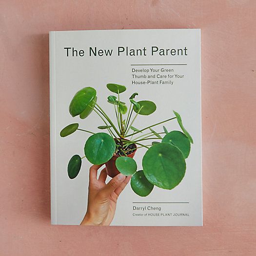 The New Plant Parent | Terrain