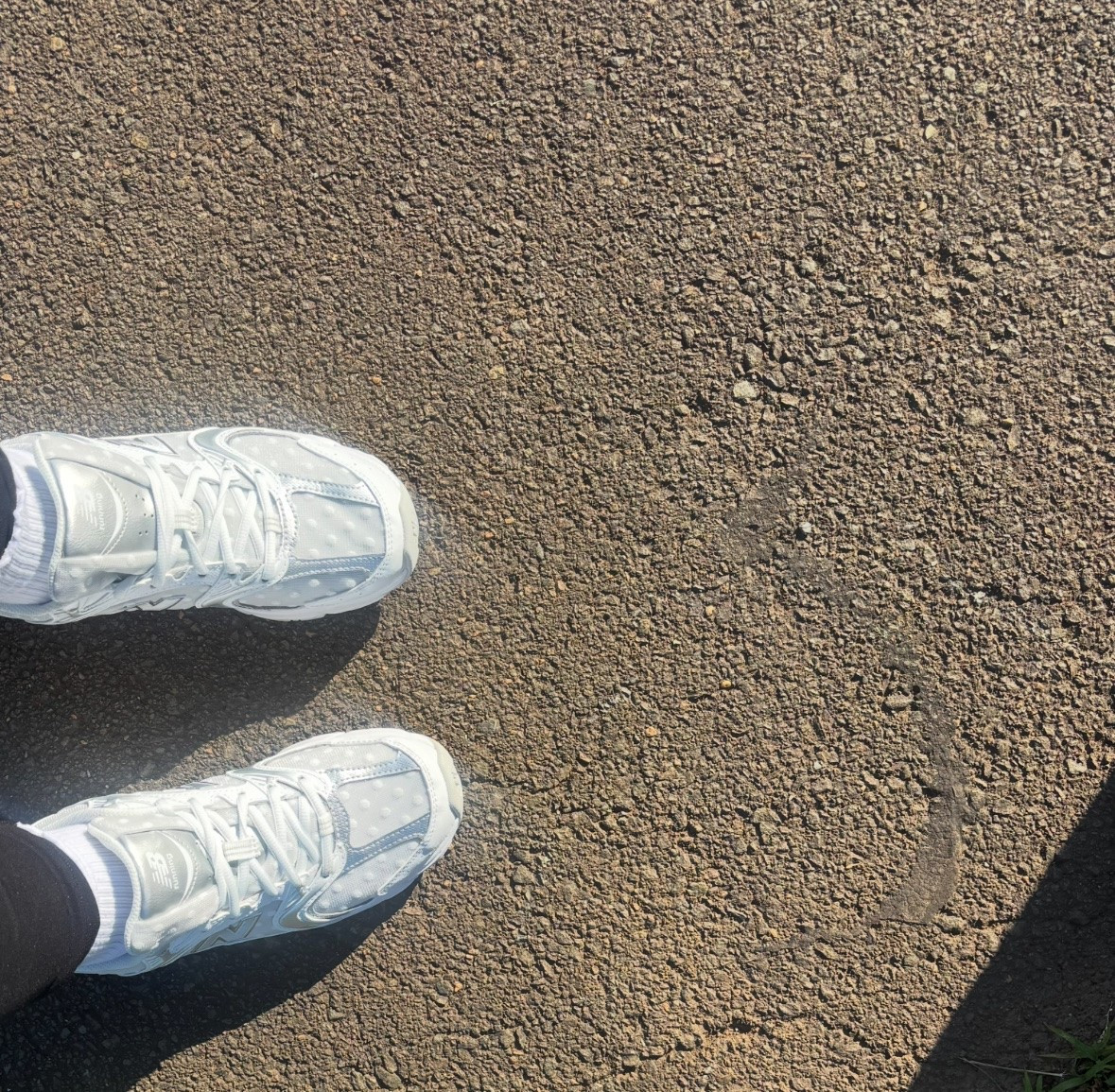 My current favorite every day sneakers just restocked!! They go with everyone, and are SO cute in person!!