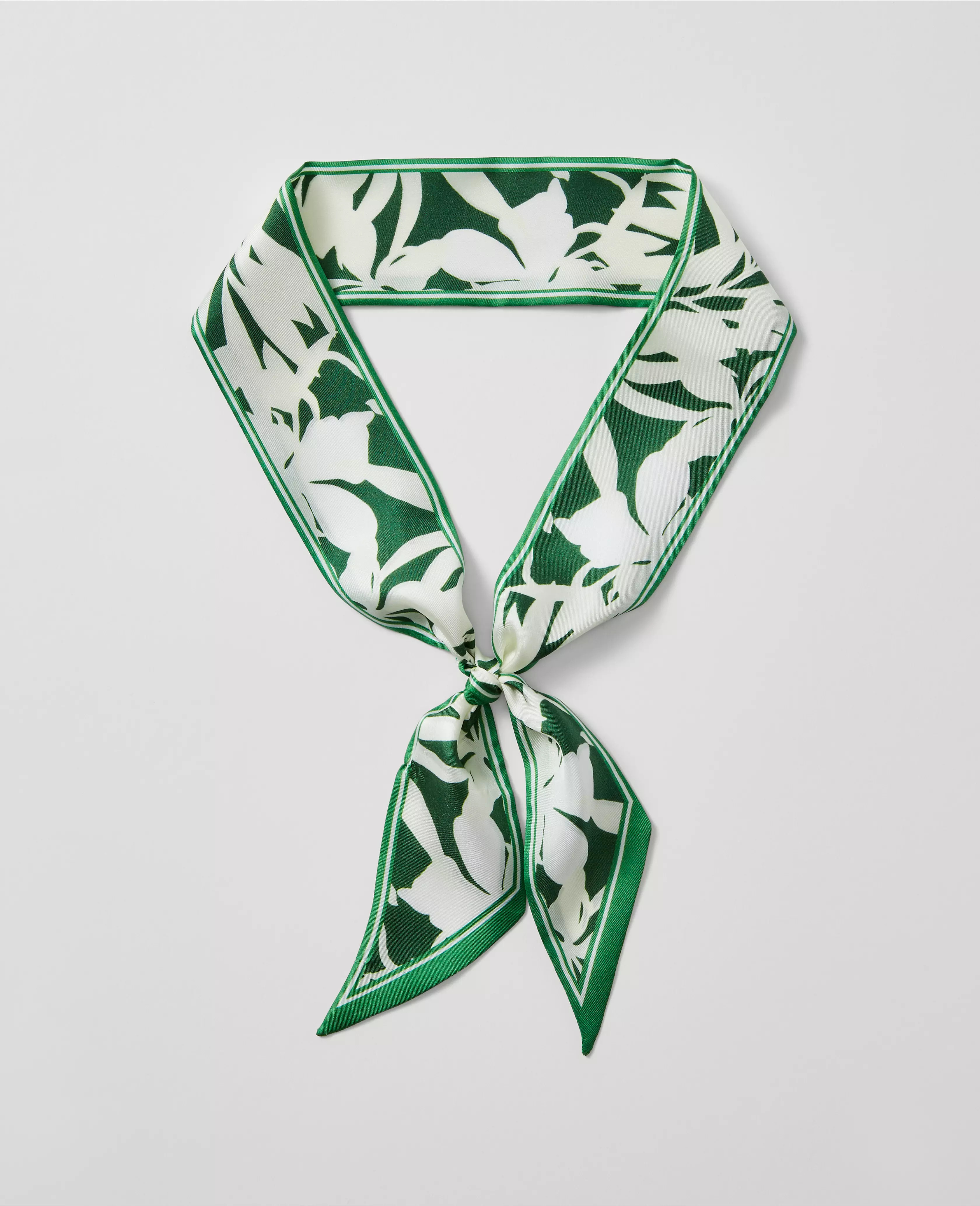 Skinny Silk Scarf | Ann Taylor