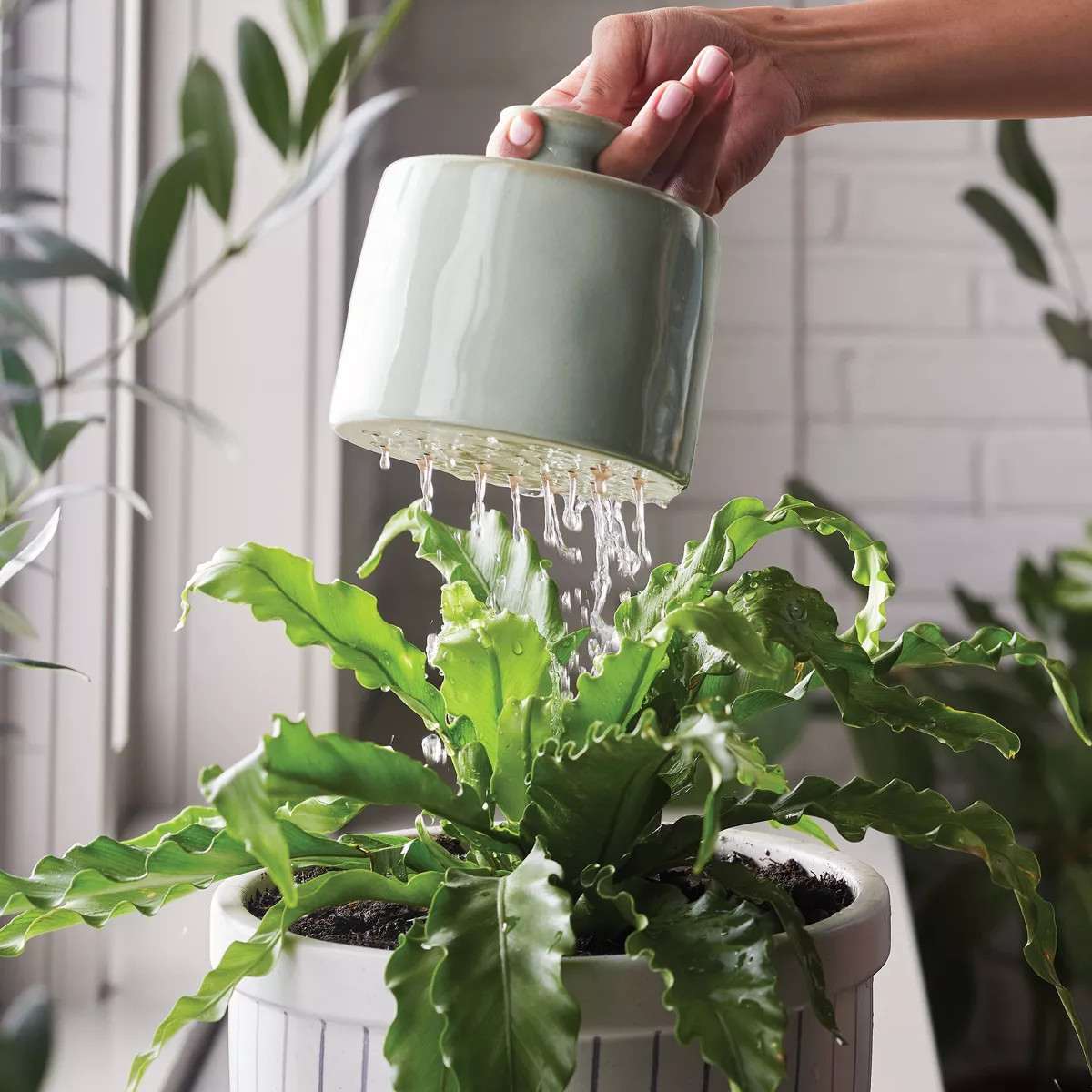 2.5L Stoneware Watering Thumb Pot Sage Green - Hearth & Hand™ with Magnolia | Target