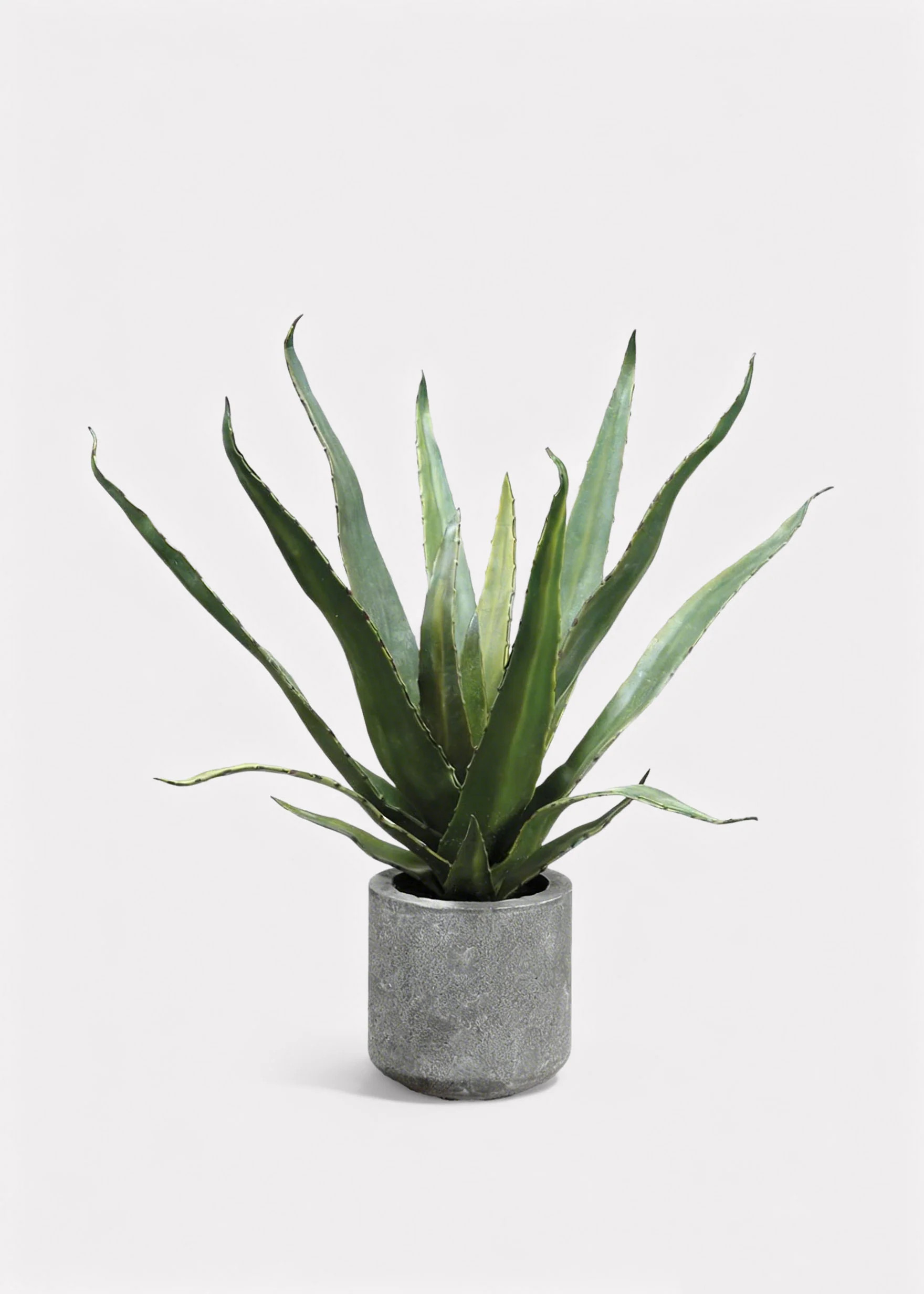 Fake Potted Agave Cactus Plant in Cement Pot - 19" | Afloral