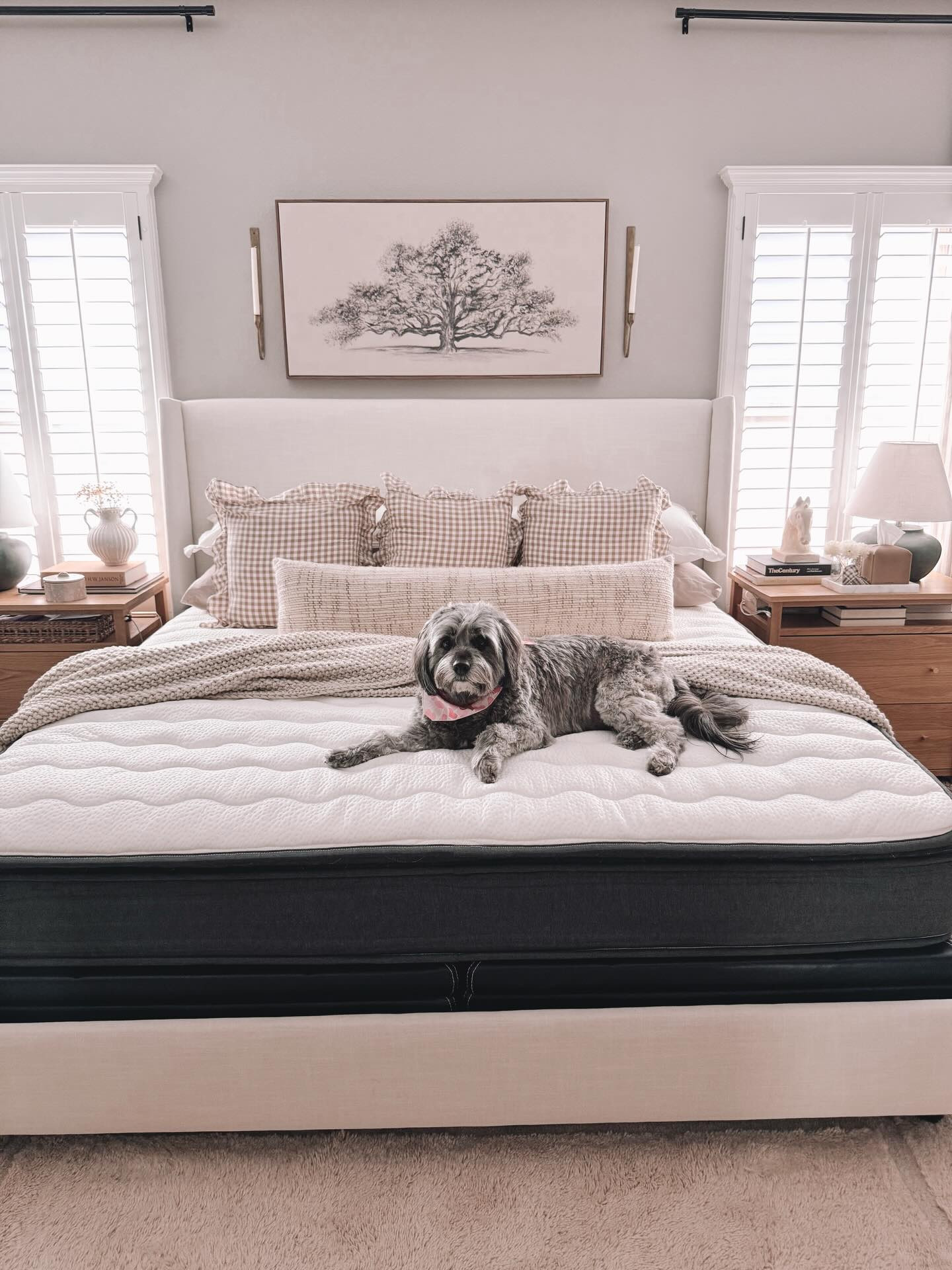 We’ve had our Nell mattress for a month now it is definitely the most comfortable mattress we’ve owned. Sleep might not always come easy for me but at least I am comfortable! 

Nell mattresses are crafted in Japan and feature a unique 13 layer structure with over 4700 pocket coils in their king mattress 

With the Nell promise you get a year to decide with their 365 night in home trial and also receive a lifetime warranty guaranteeing your piece of mind for as long as you own it 

Find the link in my bio and stories and use my code SMORALES for 10% off your purchase 

@nellsleep_usa 

#mattress #comfybed #sleep